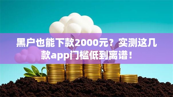 黑户也能下款2000元？实测这几款app门槛低到离谱！