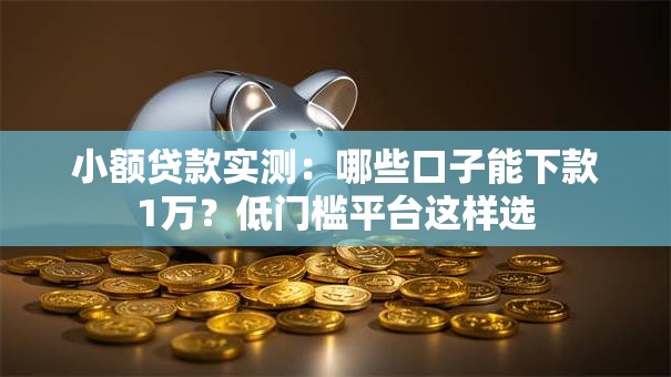 小额贷款实测：哪些口子能下款1万？低门槛平台这样选