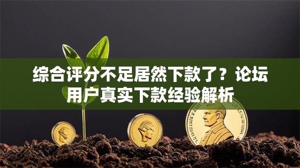 综合评分不足居然下款了?论坛用户真实下款经验解析 综合评分不足居然下款了?论坛用户真实下款经验解析