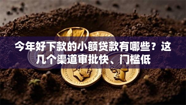 今年好下款的小额贷款有哪些?这几个渠道审批快、门槛低 今年好下款的小额贷款有哪些?这几个渠道审批快、门槛低