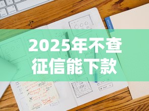 2025年不查征信能下款的口子有哪些？最新渠道大揭秘