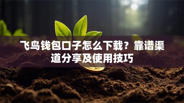 飞鸟钱包口子怎么下载?靠谱渠道分享及使用技巧 飞鸟钱包口子怎么下载?靠谱渠道分享及使用技巧