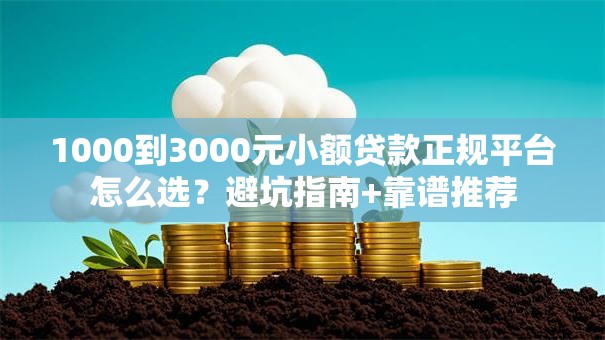 1000到3000元小额贷款正规平台怎么选？避坑指南+靠谱推荐
