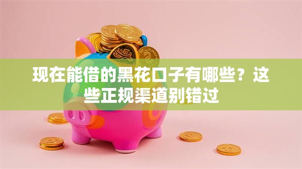 现在能借的黑花口子有哪些?这些正规渠道别错过 现在能借的黑花口子有哪些?这些正规渠道别错过