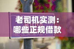 老司机实测：哪些正规借款平台容易通过审核？避坑指南来了