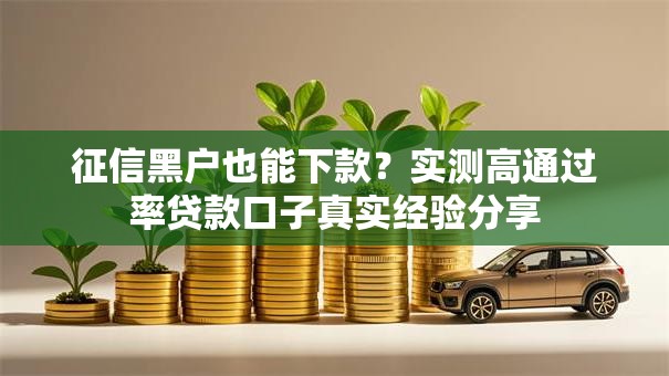 征信黑户也能下款?实测高通过率贷款口子真实经验分享 征信黑户也能下款?实测高通过率贷款口子真实经验分享