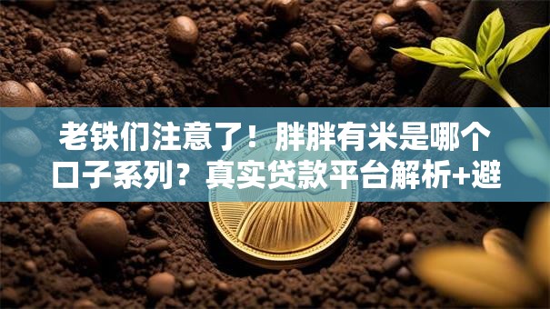 老铁们注意了!胖胖有米是哪个口子系列?真实贷款平台解析+避坑指南 老铁们注意了!胖胖有米是哪个口子系列?真实贷款平台解析+避坑指南