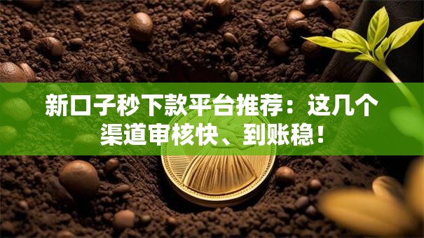 新口子秒下款平台推荐:这几个渠道审核快、到账稳! 新口子秒下款平台推荐:这几个渠道审核快、到账稳!