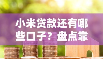 小米贷款还有哪些口子?盘点靠谱替代平台和申请技巧 小米贷款还有哪些口子?盘点靠谱替代平台和申请技巧