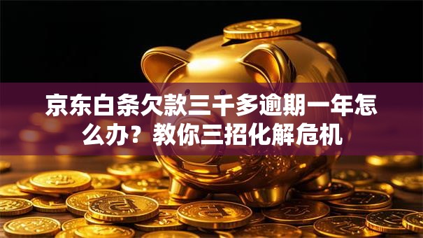 京东白条欠款三千多逾期一年怎么办?教你三招化解危机 京东白条欠款三千多逾期一年怎么办?教你三招化解危机
