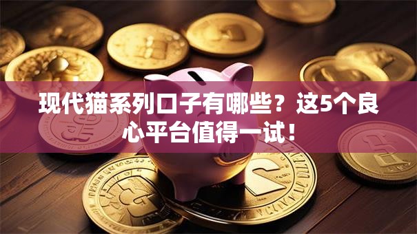 现代猫系列口子有哪些？这5个良心平台值得一试！