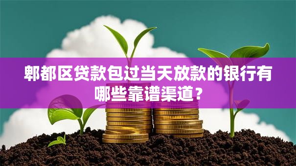 郫都区贷款包过当天放款的银行有哪些靠谱渠道? 郫都区贷款包过当天放款的银行有哪些靠谱渠道?