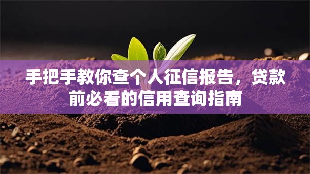 手把手教你查个人征信报告,贷款前必看的信用查询指南 手把手教你查个人征信报告,贷款前必看的信用查询指南