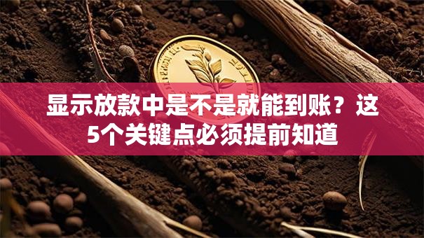 显示放款中是不是就能到账？这5个关键点必须提前知道