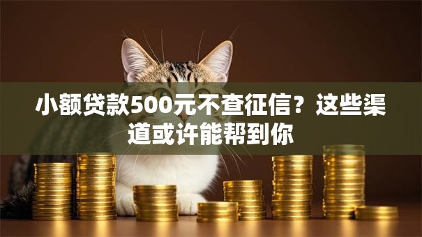 小额贷款500元不查征信?这些渠道或许能帮到你 小额贷款500元不查征信?这些渠道或许能帮到你