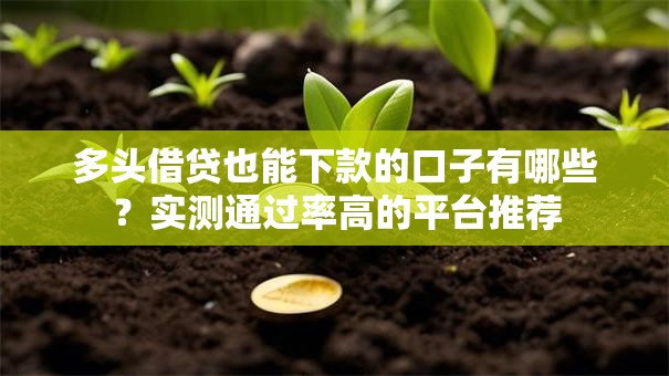 多头借贷也能下款的口子有哪些？实测通过率高的平台推荐