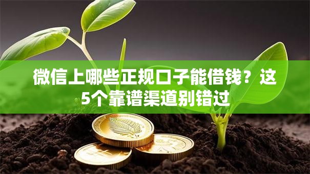微信上哪些正规口子能借钱?这5个靠谱渠道别错过 微信上哪些正规口子能借钱?这5个靠谱渠道别错过
