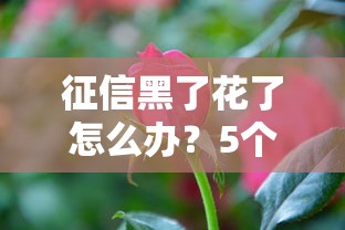 征信黑了花了怎么办？5个修复技巧助你轻松上岸