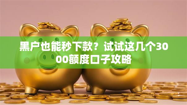 黑户也能秒下款？试试这几个3000额度口子攻略
