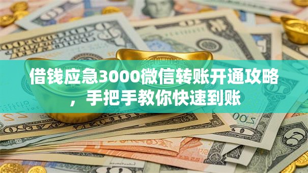 借钱应急3000微信转账开通攻略，手把手教你快速到账