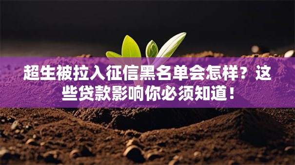 超生被拉入征信黑名单会怎样?这些贷款影响你必须知道! 超生被拉入征信黑名单会怎样?这些贷款影响你必须知道!
