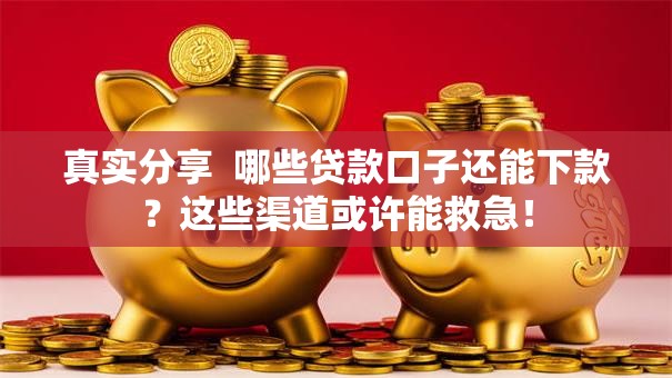 真实分享  哪些贷款口子还能下款？这些渠道或许能救急！