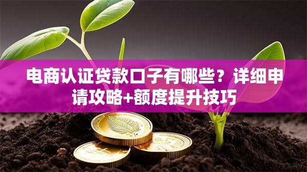 电商认证贷款口子有哪些？详细申请攻略+额度提升技巧