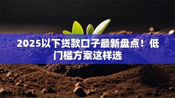 2025以下贷款口子最新盘点!低门槛方案这样选 2025以下贷款口子最新盘点!低门槛方案这样选