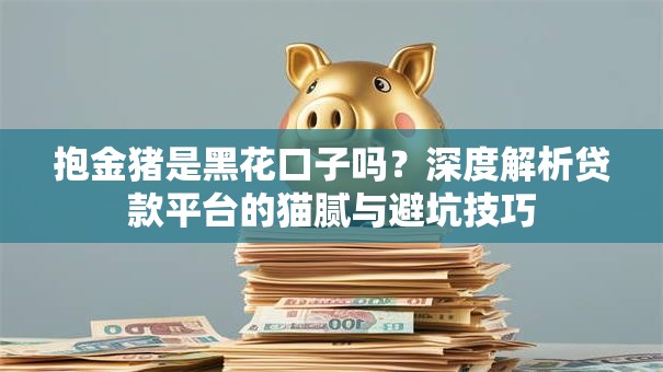抱金猪是黑花口子吗？深度解析贷款平台的猫腻与避坑技巧