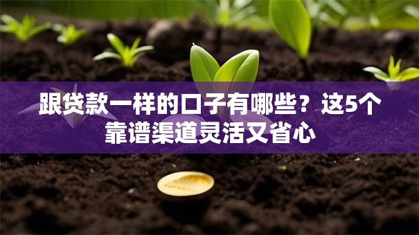 跟贷款一样的口子有哪些?这5个靠谱渠道灵活又省心 跟贷款一样的口子有哪些?这5个靠谱渠道灵活又省心
