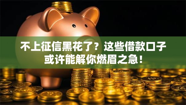 不上征信黑花了?这些借款口子或许能解你燃眉之急! 不上征信黑花了?这些借款口子或许能解你燃眉之急!
