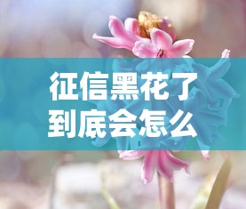 征信黑花了到底会怎么样?这几点影响你一定要知道! 征信黑花了到底会怎么样?这几点影响你一定要知道!