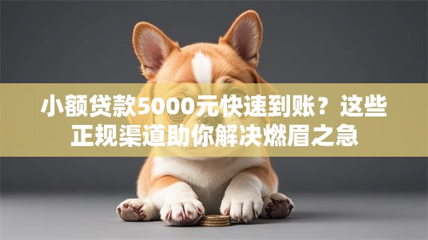 小额贷款5000元快速到账?这些正规渠道助你解决燃眉之急 小额贷款5000元快速到账?这些正规渠道助你解决燃眉之急