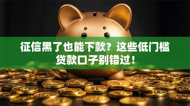 征信黑了也能下款?这些低门槛贷款口子别错过! 征信黑了也能下款?这些低门槛贷款口子别错过!