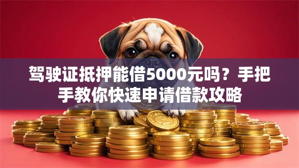 驾驶证抵押能借5000元吗？手把手教你快速申请借款攻略