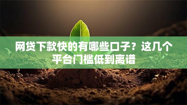 网贷下款快的有哪些口子?这几个平台门槛低到离谱 网贷下款快的有哪些口子?这几个平台门槛低到离谱