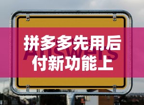 拼多多先用后付新功能上线！剁手党福利来了