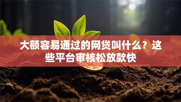 大额容易通过的网贷叫什么？这些平台审核松放款快