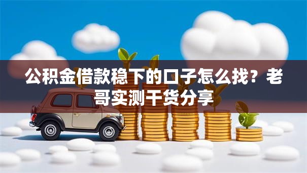 公积金借款稳下的口子怎么找？老哥实测干货分享