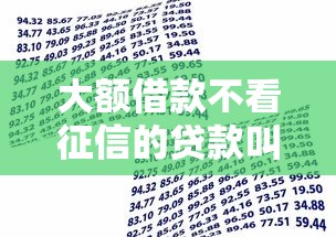 大额借款不看征信的贷款叫什么?这几种方式你知道吗! 大额借款不看征信的贷款叫什么?这几种方式你知道吗!