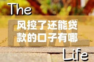 风控了还能贷款的口子有哪些？试试这几个真实有效的渠道