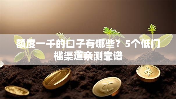 额度一千的口子有哪些?5个低门槛渠道亲测靠谱 额度一千的口子有哪些?5个低门槛渠道亲测靠谱