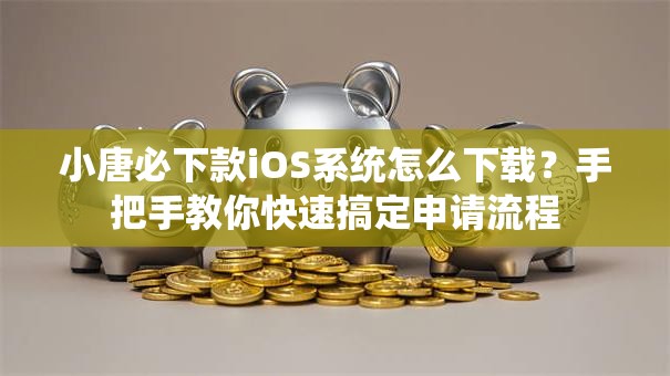 小唐必下款iOS系统怎么下载?手把手教你快速搞定申请流程 小唐必下款iOS系统怎么下载?手把手教你快速搞定申请流程