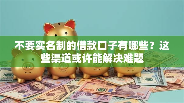 不要实名制的借款口子有哪些?这些渠道或许能解决难题 不要实名制的借款口子有哪些?这些渠道或许能解决难题