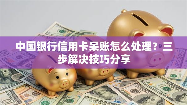 中国银行信用卡呆账怎么处理?三步解决技巧分享 中国银行信用卡呆账怎么处理?三步解决技巧分享
