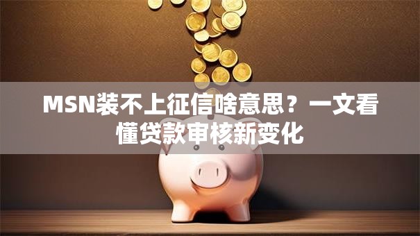 MSN装不上征信啥意思？一文看懂贷款审核新变化