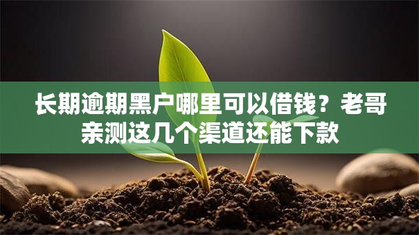 长期逾期黑户哪里可以借钱？老哥亲测这几个渠道还能下款