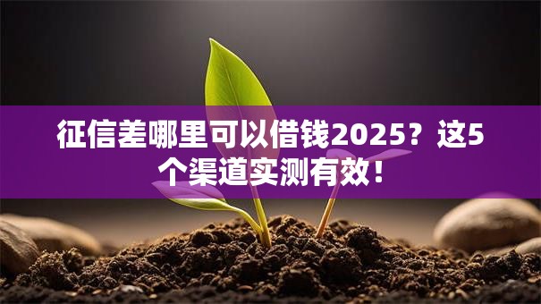 征信差哪里可以借钱2025?这5个渠道实测有效! 征信差哪里可以借钱2025?这5个渠道实测有效!