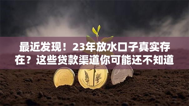 最近发现!23年放水口子真实存在?这些贷款渠道你可能还不知道 最近发现!23年放水口子真实存在?这些贷款渠道你可能还不知道