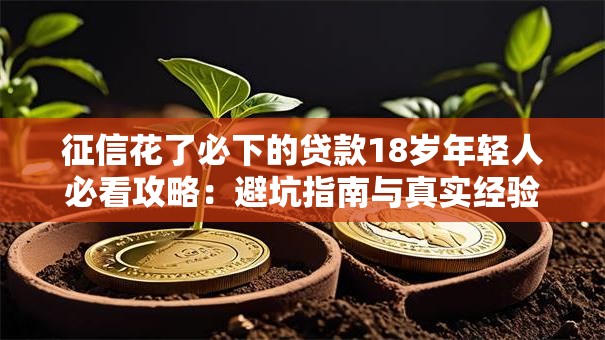 征信花了必下的贷款18岁年轻人必看攻略:避坑指南与真实经验分享 征信花了必下的贷款18岁年轻人必看攻略:避坑指南与真实经验分享